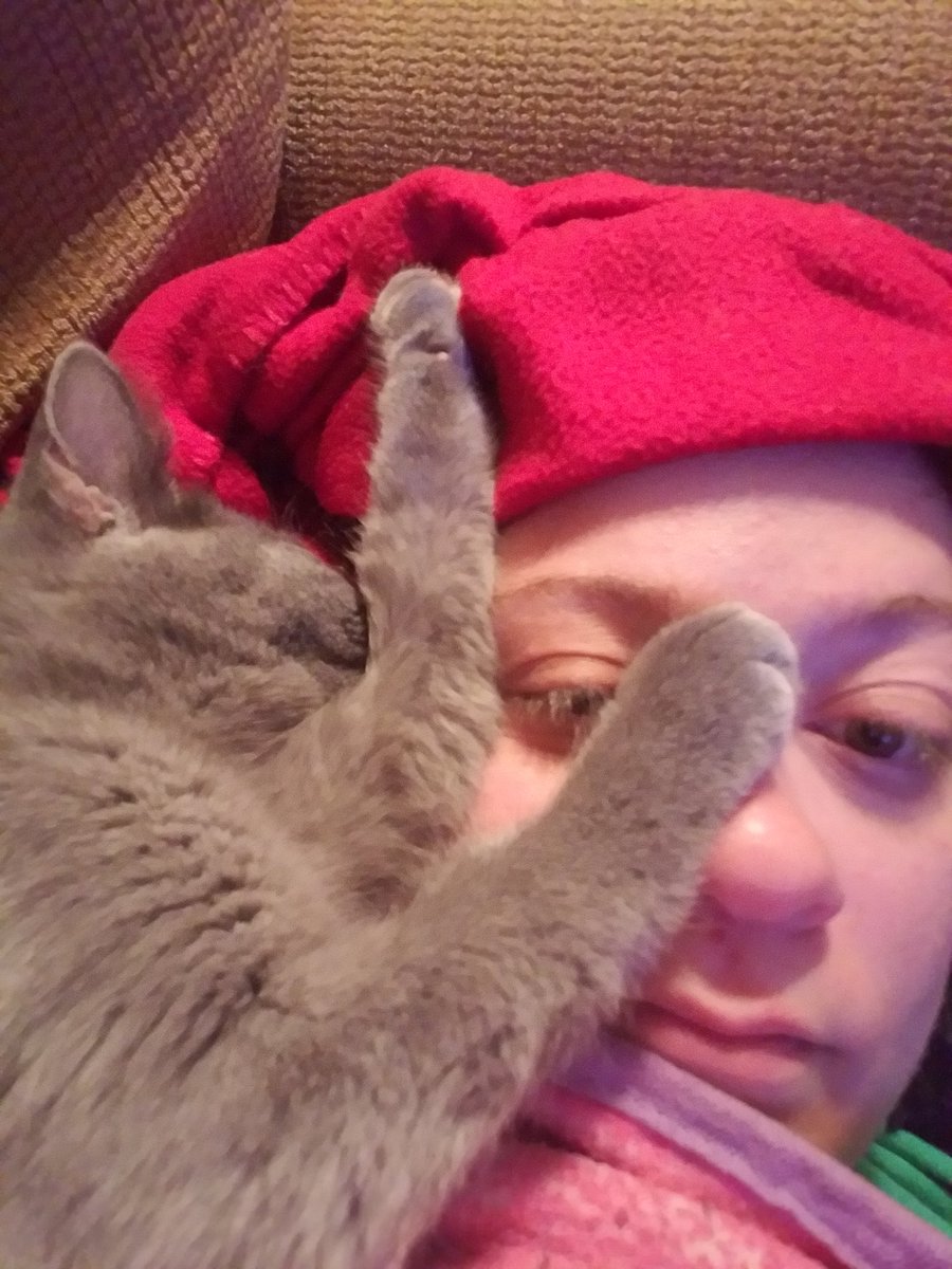 KristinaMLawyer's tweet photo. #kittens #kittenstuff #meowcury4 https://t.co/6yY6PshC80
