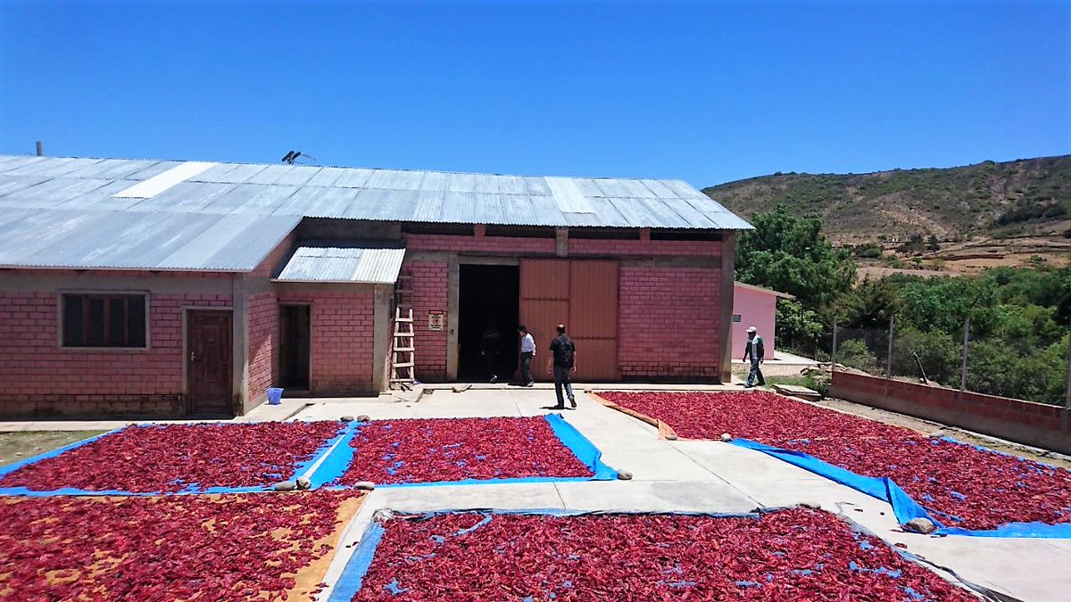 JArevalo2017's tweet photo. @Agriterra #Bolivia. Seasoning #ASOVITA's business. Participatory process for 'Long-term sustainability Plan' @Ninoskagh @GuidoAgriterra https://t.co/sCTCvhIFQZ