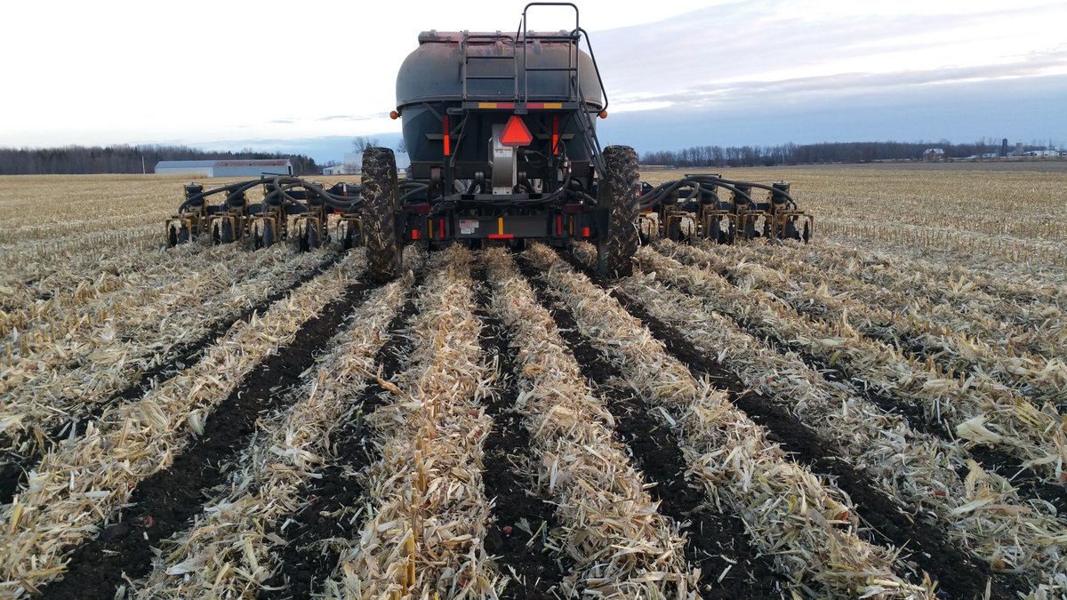 farmerschneck's tweet photo. #makecornoncorngreatagain #ontag #striptil #harvest17 https://t.co/JNVUE3S6A0