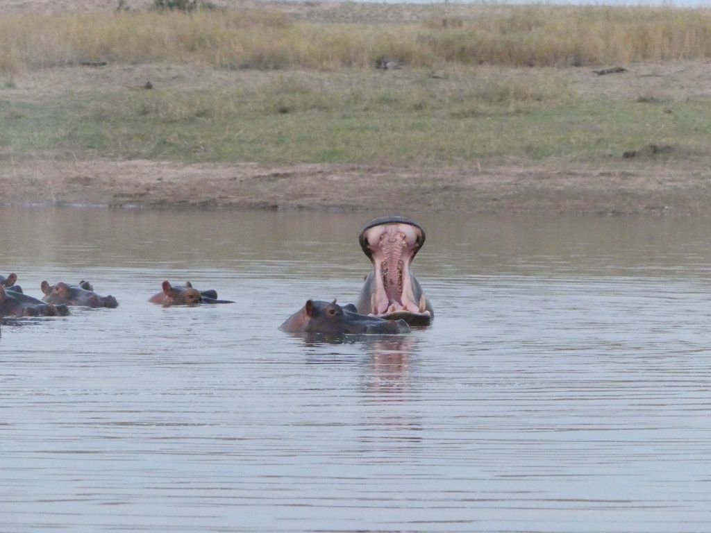 Elizabeth Willoughby tweet media