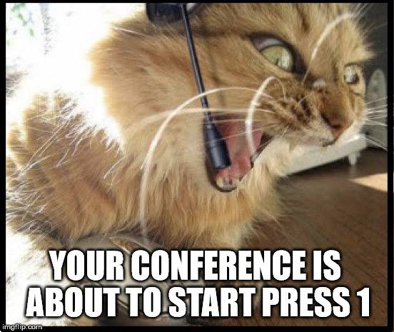 ConferenceMeow's tweet photo. Come see the launch of @ConferenceMeow at Sioux Falls Startup Weekend 5:30pm at Zeal! https://t.co/67yiF9j80x https://t.co/oKBzxtkMM4