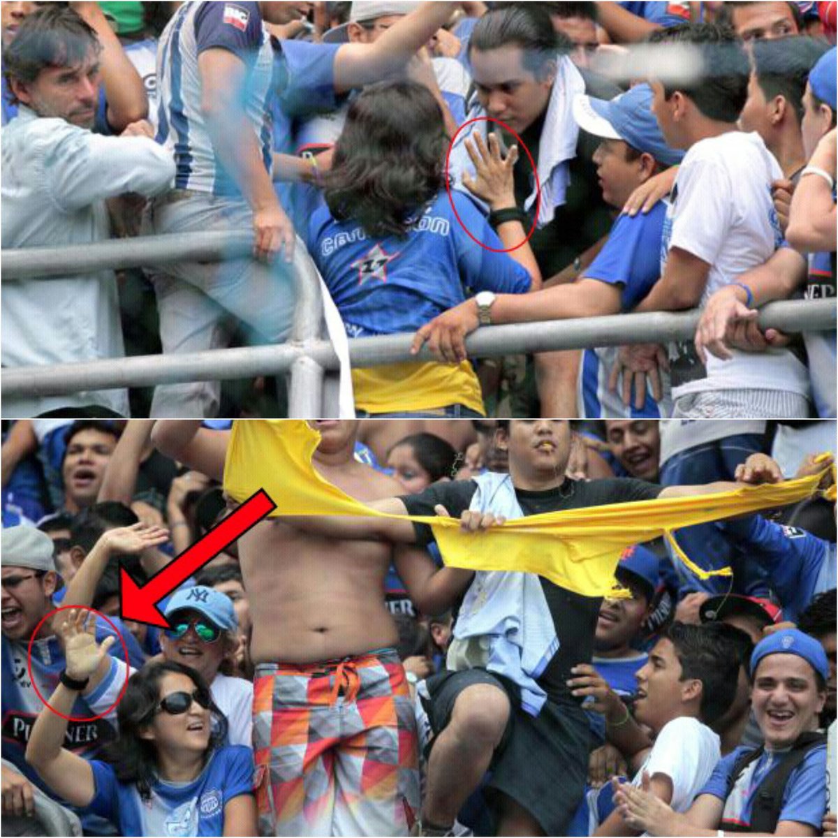 MarceloTumbac's tweet photo. @williamvillacis @Beto7bsc  https://t.co/uIWVYWbtcB