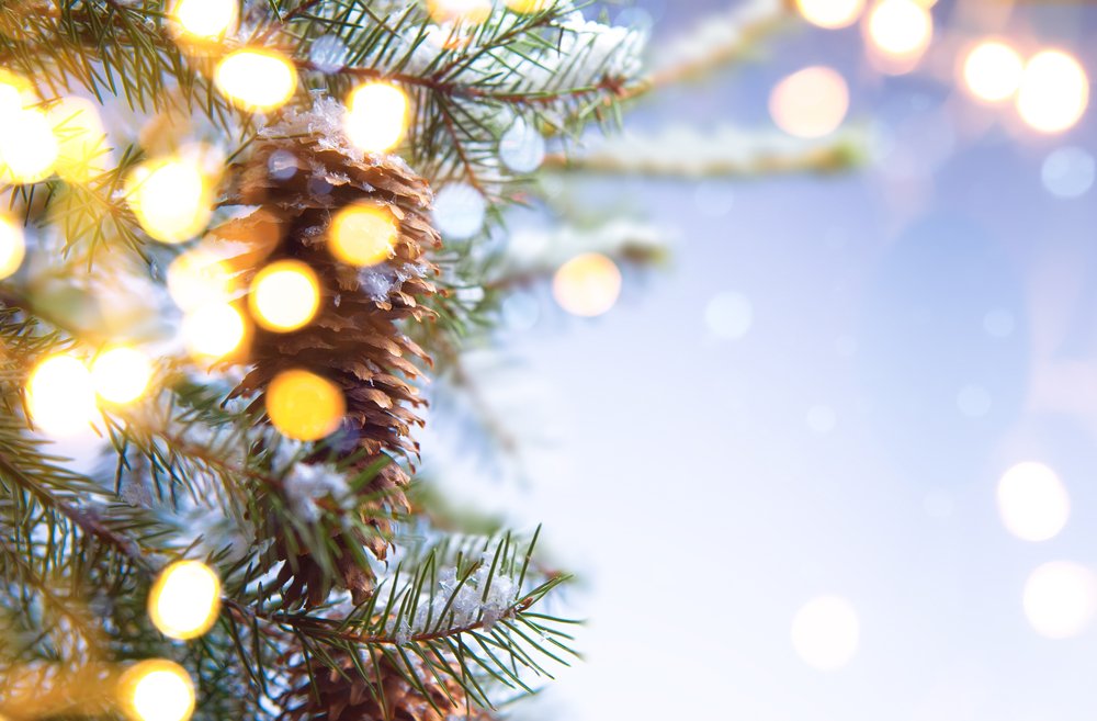FarlamHall's tweet photo. Overnight stay discount available for those attending Christmas Tea next month - £70 per person for bed &amp; breakfast: https://t.co/kBPTvf5ppV https://t.co/k2PUfZZwGv