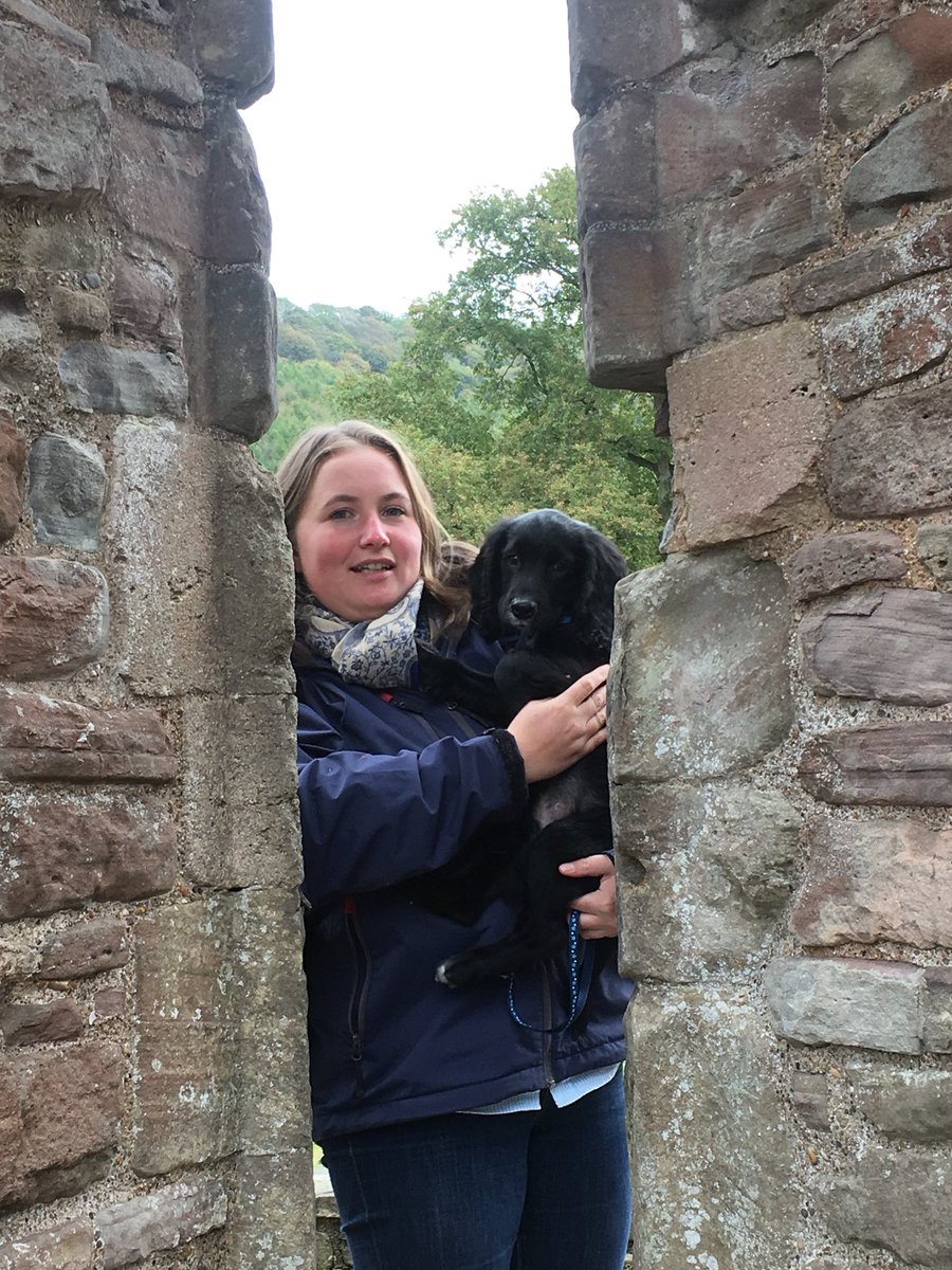 LucindaFenny's tweet photo. When life is getting you down and people are crap, hug a spaniel and suddenly all is right with the world #workingcockerspanielpuppy #mrgoose #bestpal https://t.co/Mz8Pxf4CLh
