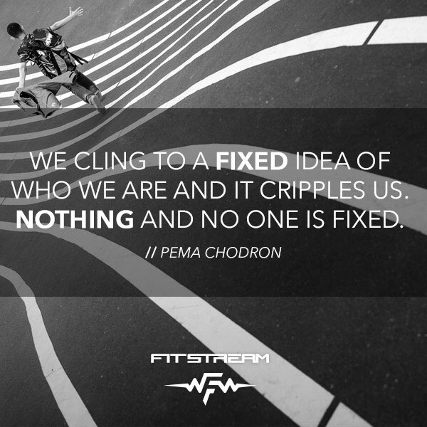 fitstream's tweet photo. Wise words from Pema Chodron. Capture your transformation with Fitstream 

#mindset #success #transformation #fitness #quotes #positivity https://t.co/KsnyqPqZBf