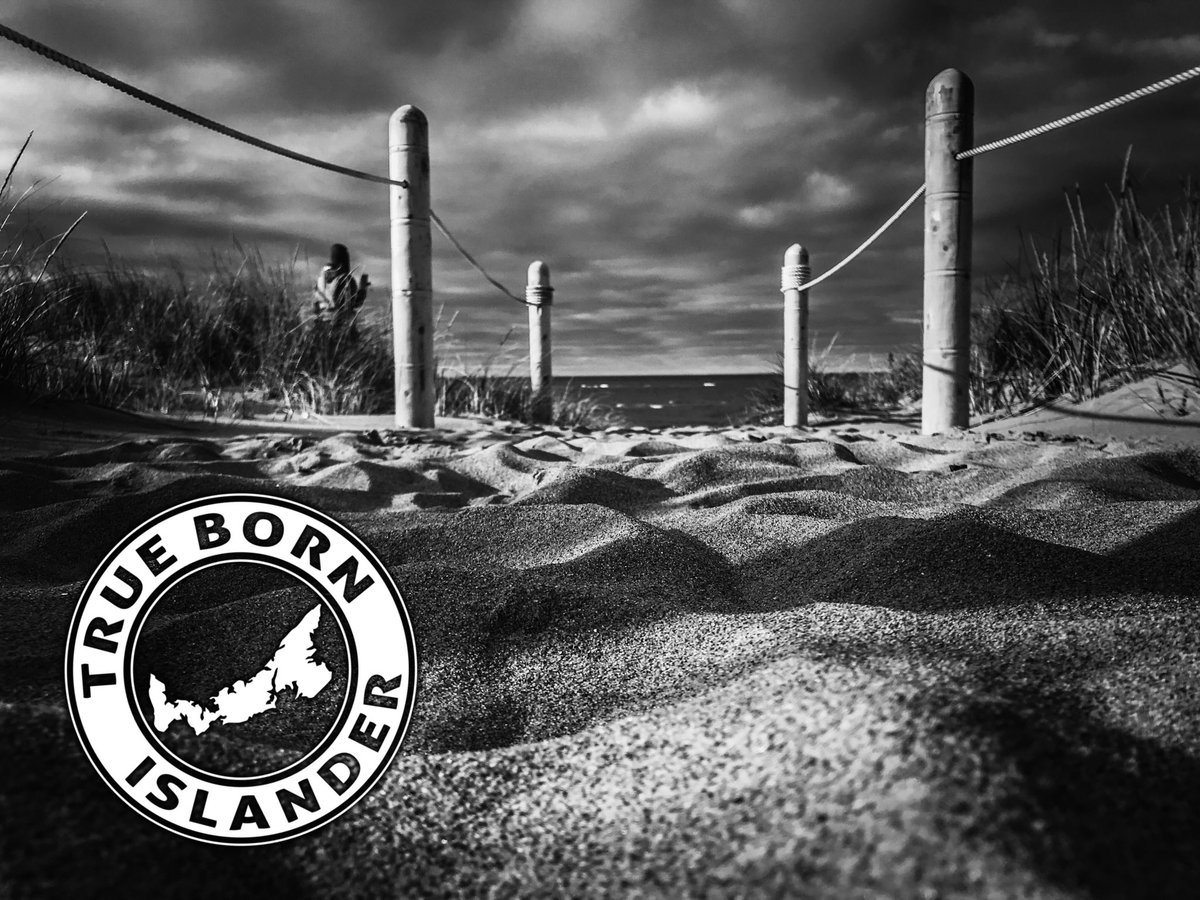 TB_Islander's tweet photo. #apparel #pei #tbi #beachlife #islanderpride #islander #truebornislander #eastcoast #oceanlife #shoplocal #repyourhome #home @TB_Islander https://t.co/PgWFQ1Yu3f