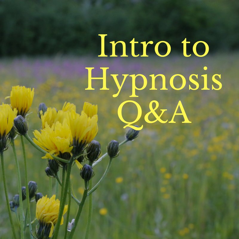 thecorewoundhlr's tweet photo. If you are interested in hypnosis then this is for you! Join Misty on November 25th for Intro to Hypnosis Q&amp;A! Click the link to learn more!  https://t.co/eO8IBmgNtW https://t.co/a7xci5QRhL