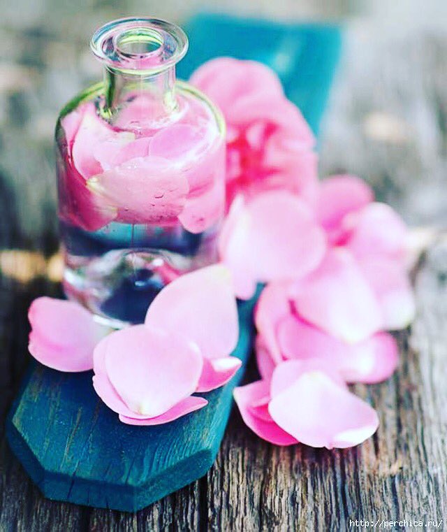 Askalite Formula Happysunday Fall Rose Oil Is Our Favorite Rose Delicate Fashion Skincare Naturalbeauty Oil Naturalbeauty Plantbased Askalite Askalite Nature Harmony Flawless Apothecary Askaliteformula Askalite Formula Happysunday Fall Rose Oil Is Our Favorite Rose Delicate Fashion Skincare Naturalbeauty Oil Naturalbeauty Plantbased Askalite Askalite Nature Harmony Flawless Apothecary Askaliteformula
