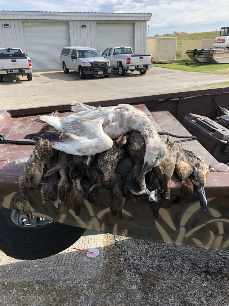 ccduckcall17's tweet photo. Saving the tundra one goose at a time and also some limits of ducks! #SavetheTundra #3manlimit https://t.co/Z416zdSoMT
