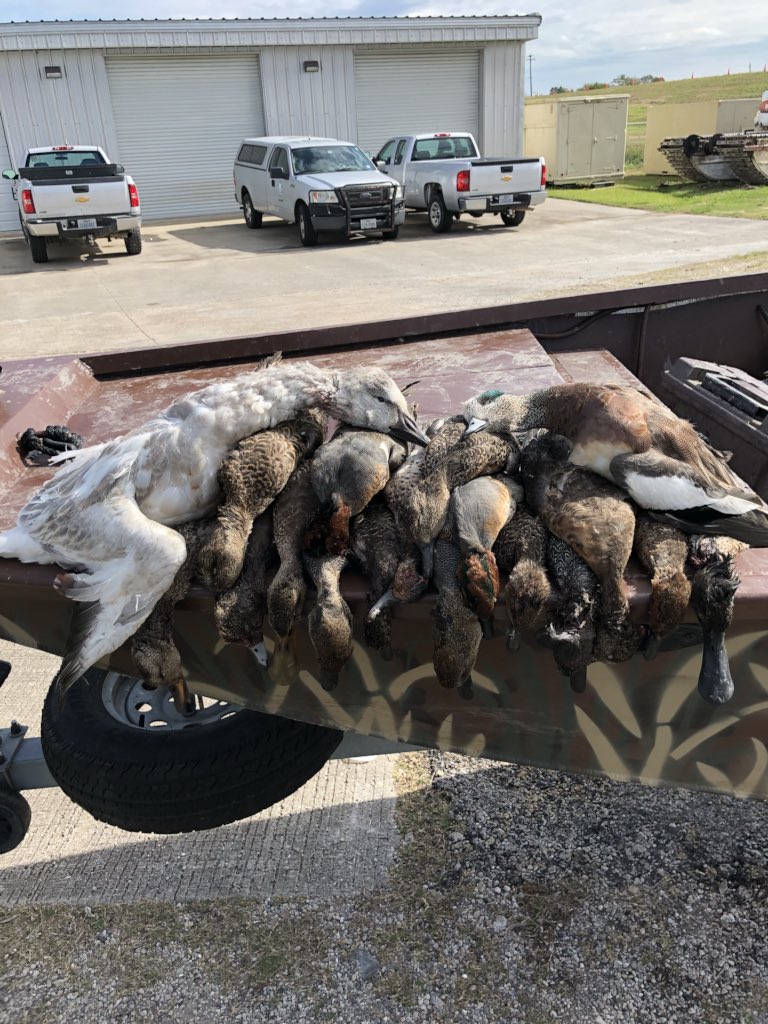 ccduckcall17's tweet photo. Saving the tundra one goose at a time and also some limits of ducks! #SavetheTundra #3manlimit https://t.co/Z416zdSoMT