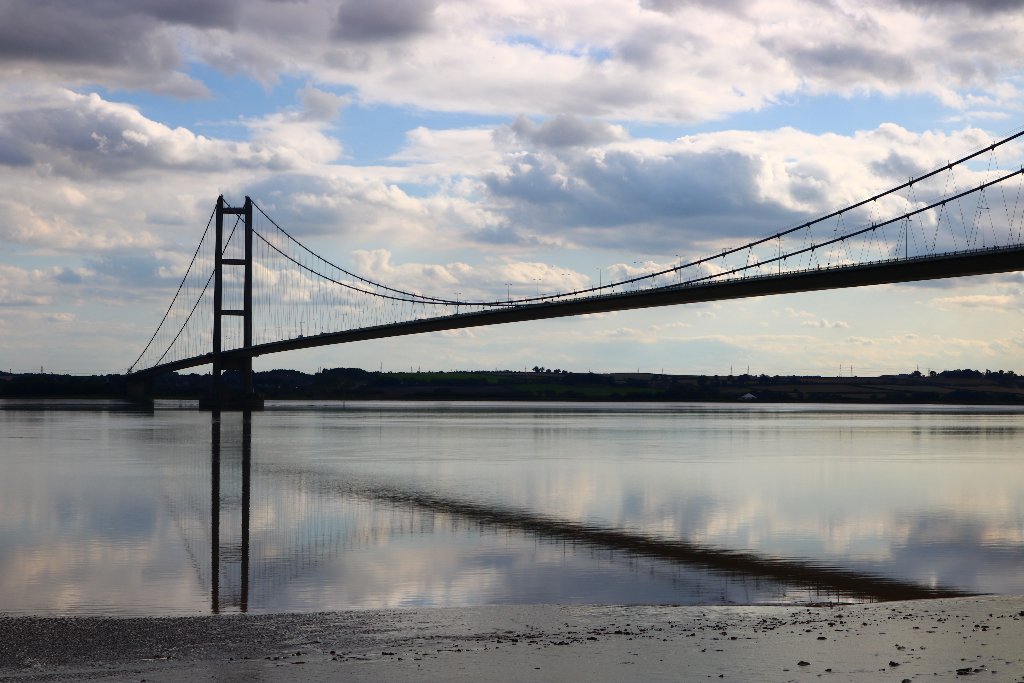 Laura Murray tweet media