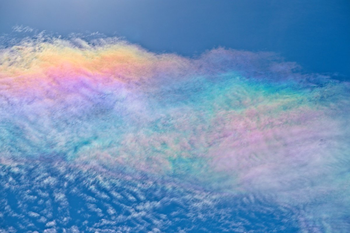 OK, here's a much better version of iridescent clouds. Bosque del Apache NWR, NM. Sun is just out of the frame to upper left. <a href="/KRQEMark/">News Junkie</a> <a href="/ByronKOAT/">Byron Morton KOAT</a> <a href="/KOB4/">KOB 4</a> <a href="/newmexicotrue/">New Mexico True</a> <a href="/USFWS/">U.S. Fish and Wildlife Service</a> <a href="/newmexico/">New Mexico TRUE</a> #newmexicoTRUE #clouds