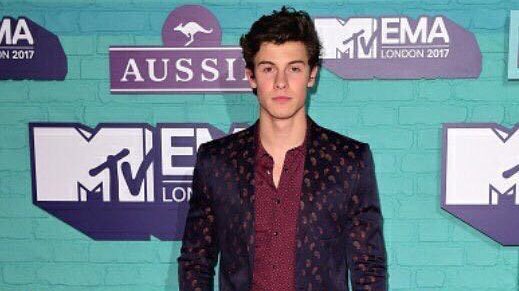 LolaIndigoCF's tweet photo. MENDES ARMY won the Biggest Fans award! #MTVEMA Congrats @ShawnMendes https://t.co/rGOFaYXNUo