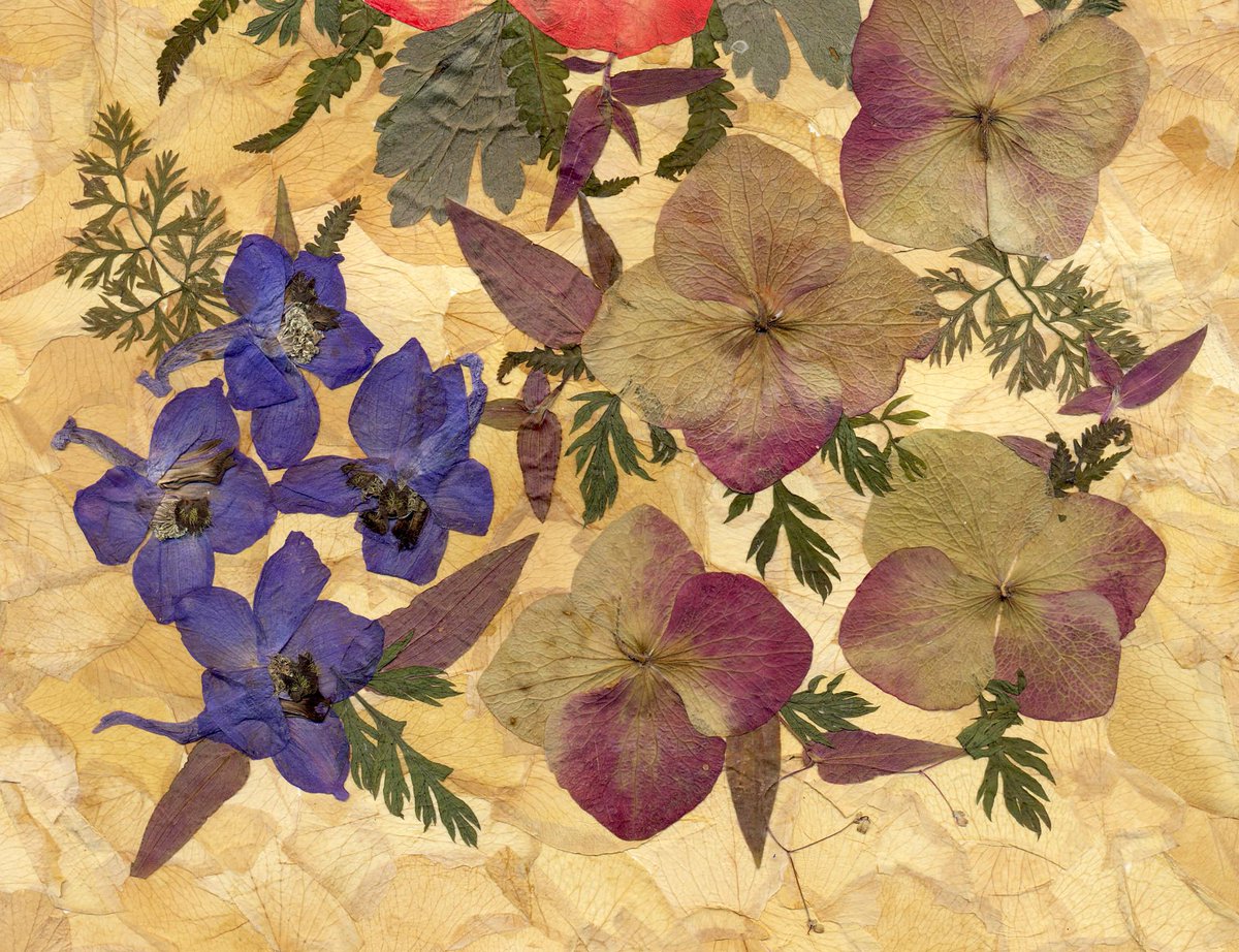 Materials: dried petals of rose, delphinium, fern, carrot leaves and others plants, natural wooden frame etsy.me/2yTJWtZ