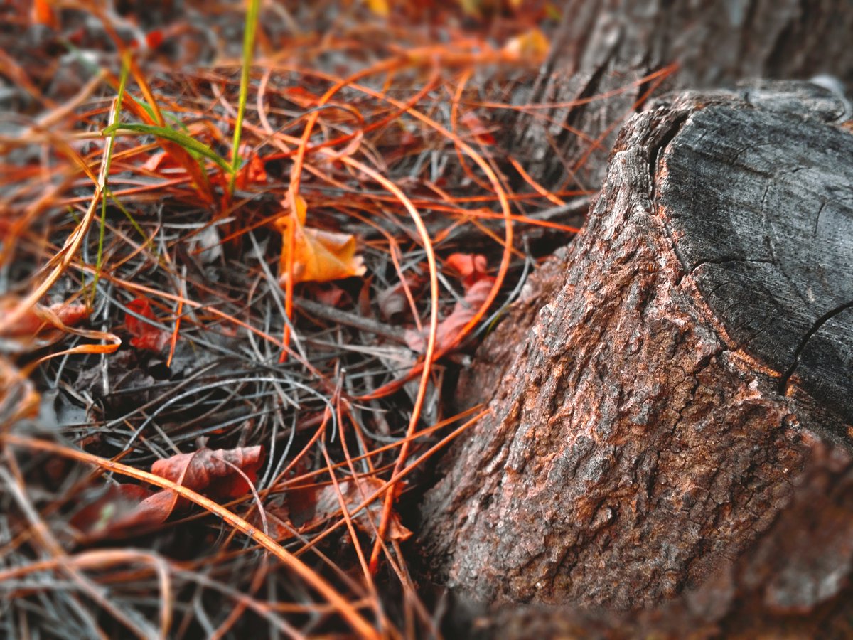 NaveVisuals's tweet image. Samsung Note 3 Photography lol