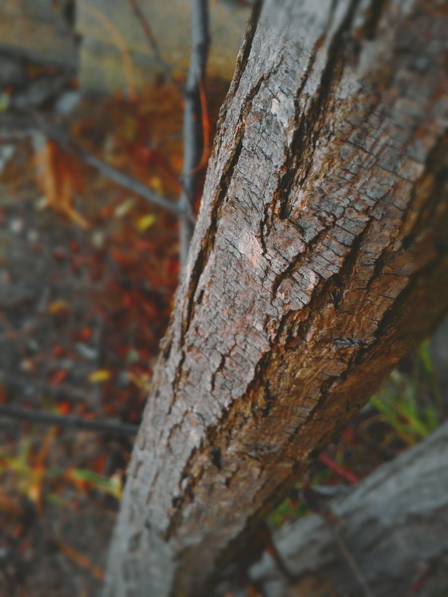 NaveVisuals's tweet image. Samsung Note 3 Photography lol