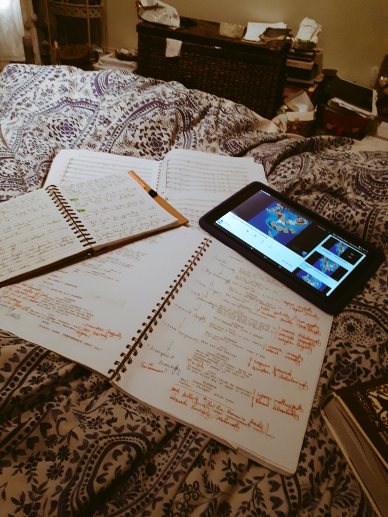 LauraBarnard5's tweet photo. Multitasking #morenotes #songlearning #harmonyrecap #concertprep #sohotheatreprep #nomorescriptspace #characterdevelopmentmeansnewactions ✔ https://t.co/MlilyTeC6k