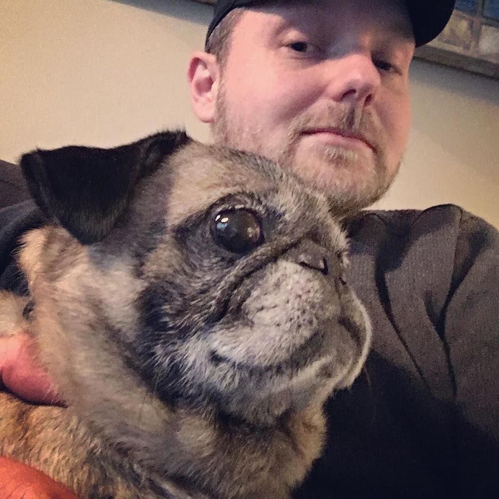 gotohelvetica's tweet photo. Important announcement: I am now a foster for the @kentuckiana_pug_rescue. So let me introduce everyone to Edgar Allan Pug. #pugsofinstagra… https://t.co/J5jLHKpWs0