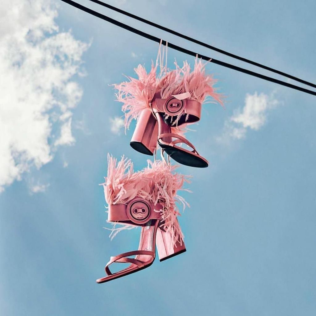 Yes, please.
#pink #flamjngo #shoes #shopping #style #styleblogger #fashionblogger #shoeslover #sky ift.tt/2iRWKGn