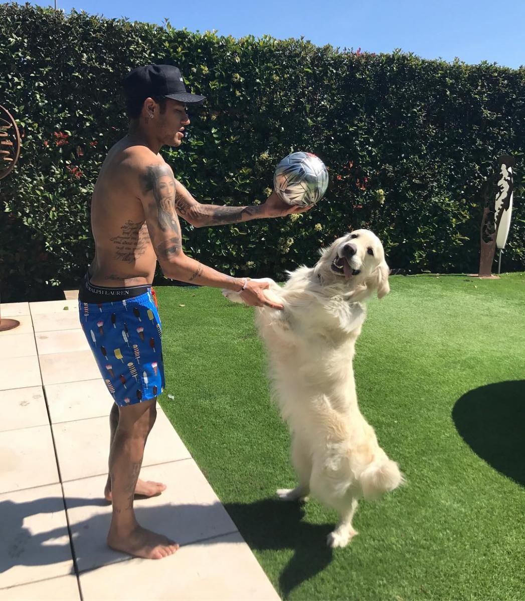 FootƄallers with aniмals on Twitter: "Neyмar trying to get his dog to play footƄall https://t.co/jyThJbU0L8" / Twitter