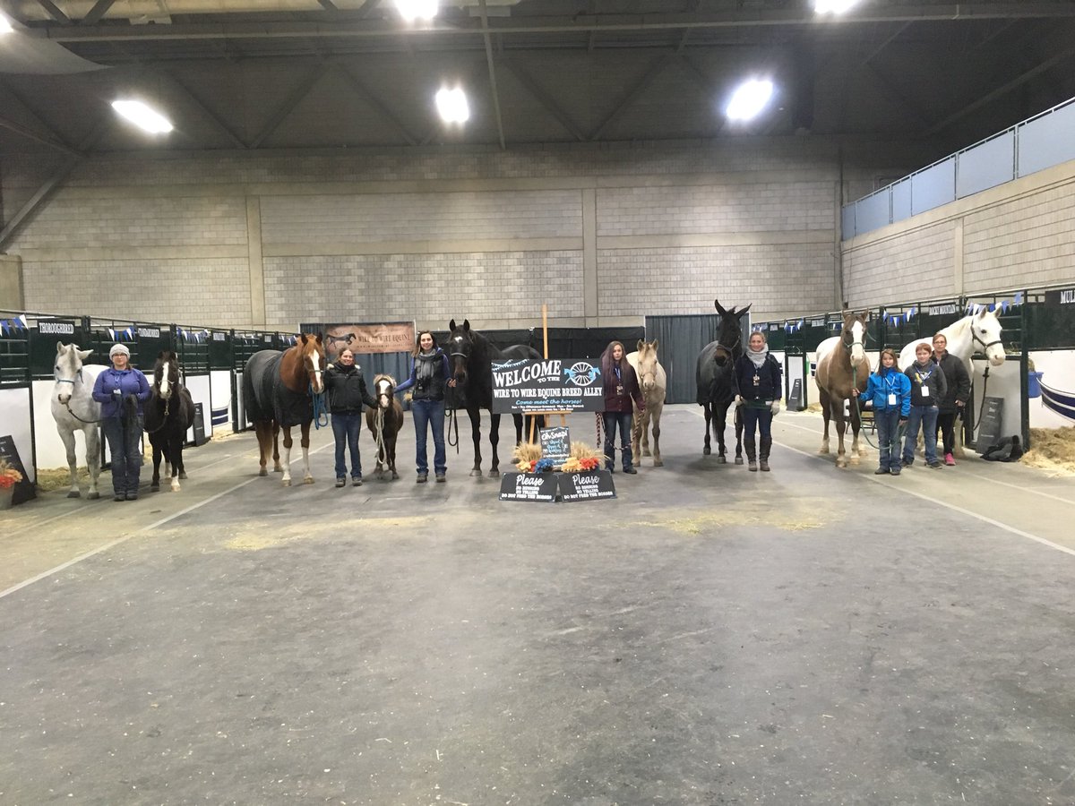 wiretowireeq's tweet photo. Team photo of the breed alley. So thankful for all these ladies and their hard work. They rocked it! #FarmFair #w2wbreedalley https://t.co/FlhppXQnbr