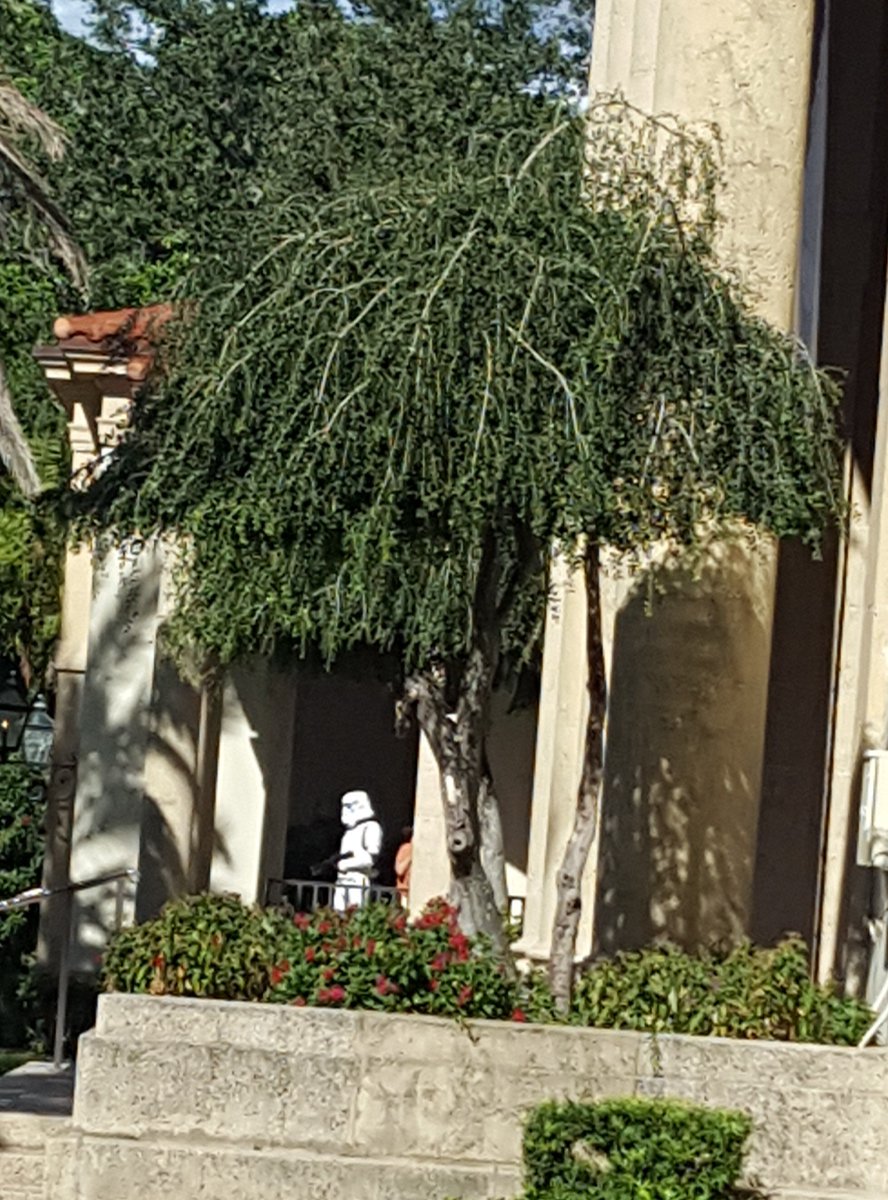 DevRobitaille's tweet photo. Breaking News: Galactic Stormtrooper spotted in St Petes Fl. #StarWarsAtMFA https://t.co/4AJyASenYC