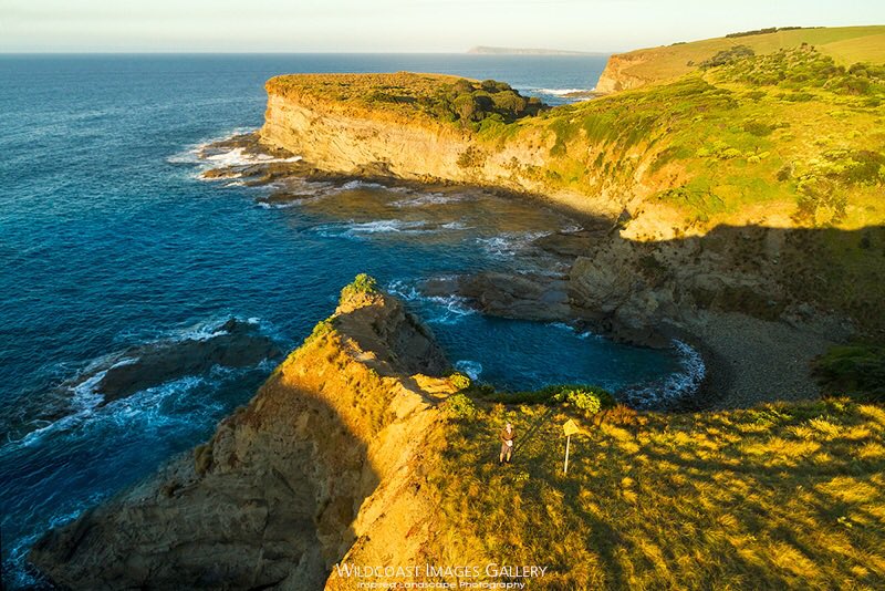 wildcoastimages's tweet photo. Perfect morning in paradise.
#wildcoastimagesgallery #coasy #gippsland #gippypics #sthgippsland #sthgippy #basscoast #victoria #drone #gippslanddrone #aerial #professionalphotography #australia https://t.co/mAe1NEnlya