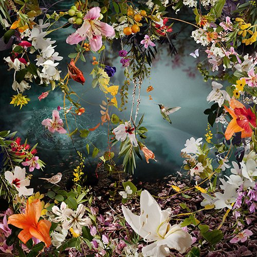 Final hours for @PopAustinArt at <a href="/FairMarketATX/">Fair Market Austin</a>. Recommended: <a href="/LeMayartista/">Ysabel LeMay YsabelLeMay.eth</a>'s #beautiful #nature-baed images! #AustinArtScene. #ArtFairs #Collect.