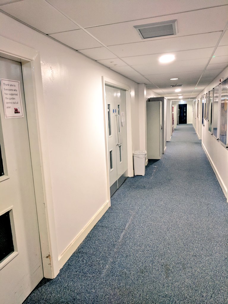 LCC_EnABLE's tweet photo. @RPnAble The windows have never looked better! The campus has begun it's transformation, inside and out! https://t.co/QcrvtbQb2x