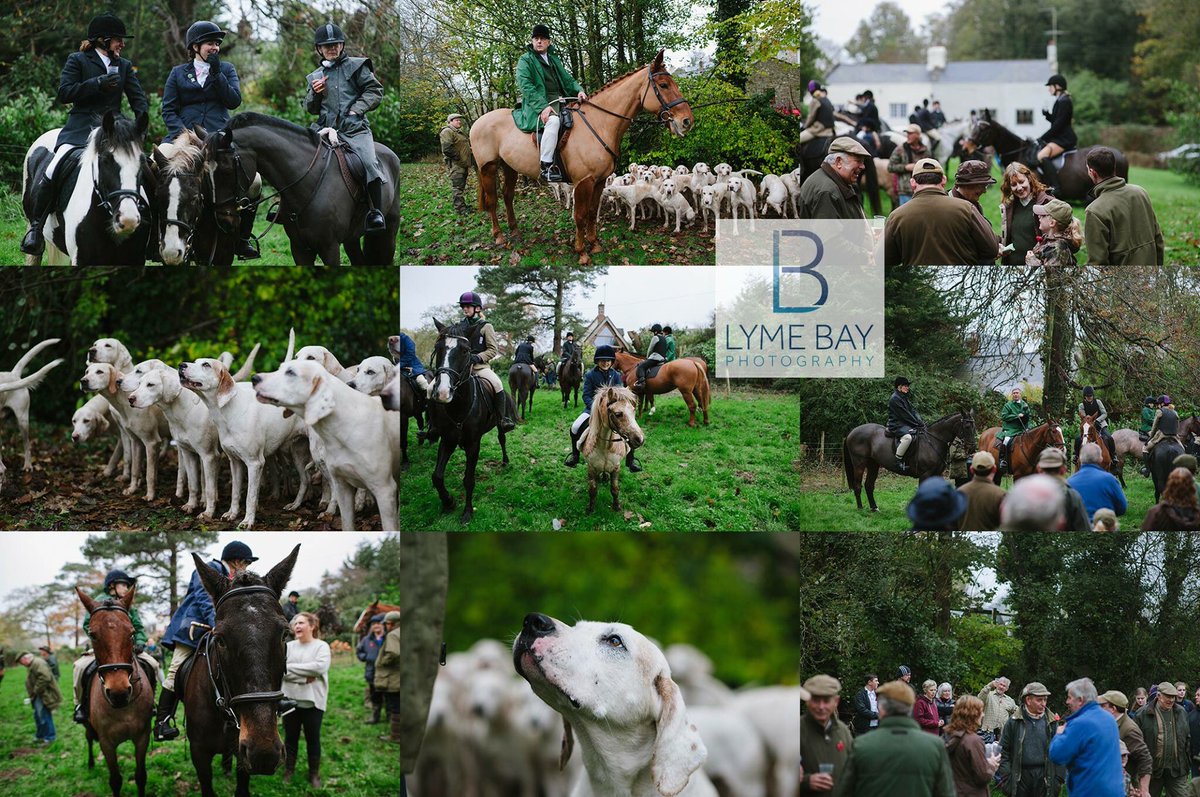 Talbot Arms (@talbotuplyme) on Twitter photo A few photos from yesterday morning, putting the paddock to good use! Photo credit <a href="/lymebayphotos/">Lyme Bay Photography</a> A few photos from yesterday morning, putting the paddock to good use! Photo credit <a href="/lymebayphotos/">Lyme Bay Photography</a>
