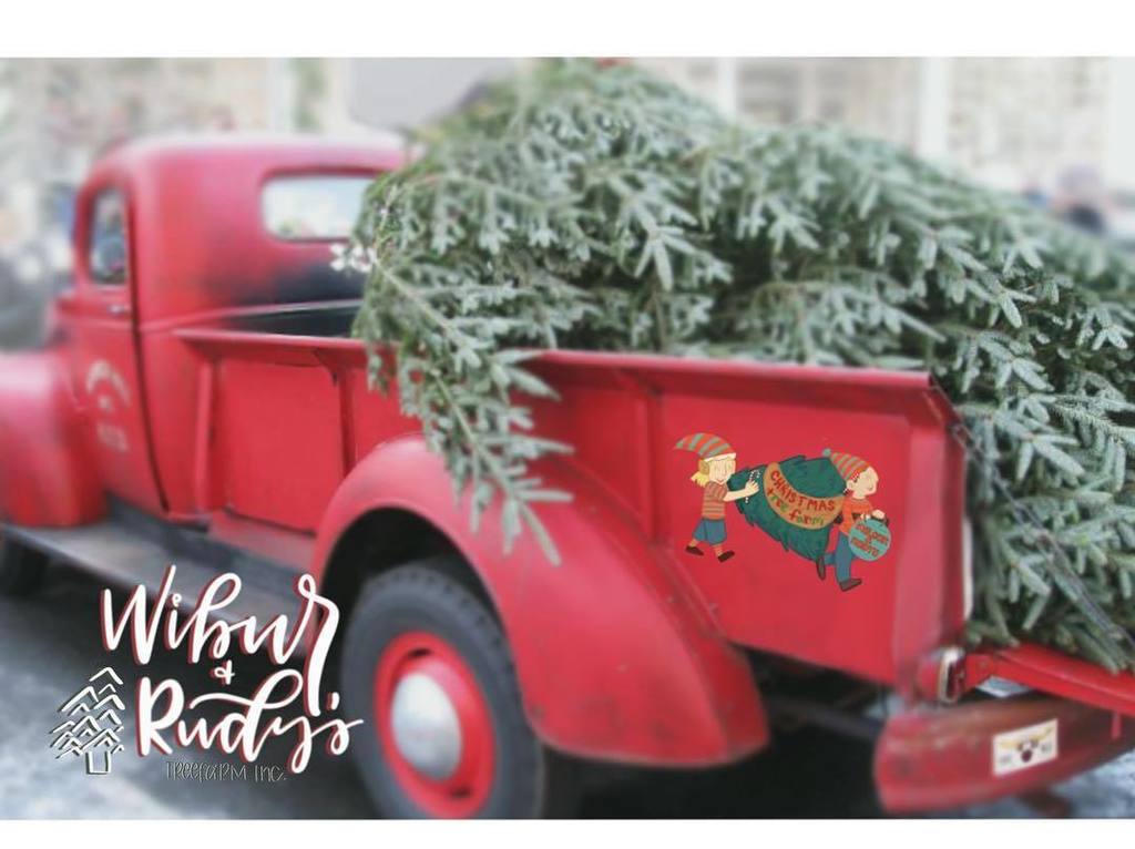 WnR_treefarm's tweet photo. Everybody who's anybody!! There are FIVE more days until our lot is officially OPEN for season! 🎄❤️ Not sure if yo… https://t.co/b3vFeDrwgE https://t.co/s4jKZ95GWN