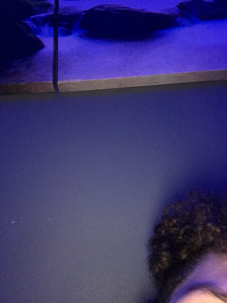 xChebb's tweet photo. @JayFromTGF @RomellHenryTgf Sort this fucking dead trim out lads https://t.co/xBmlKU6bOU