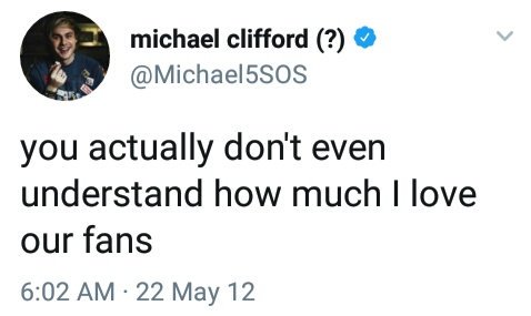 _StansMichael's tweet photo. If you stan Michael Clifford you know how important the #5SOSFam is to him 💟 https://t.co/lpYrL4BTAt