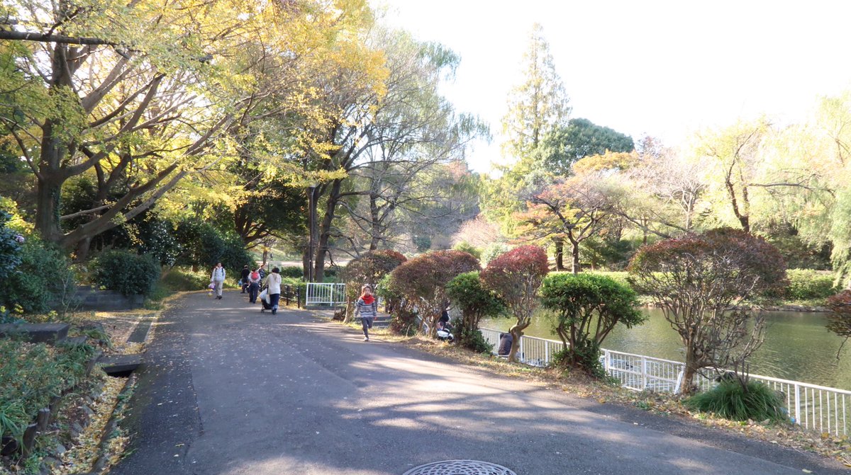Twitter ನಲ ಲ 三ツ池公園 ಹ ಯ ಶ ಟ ಯ ಗ