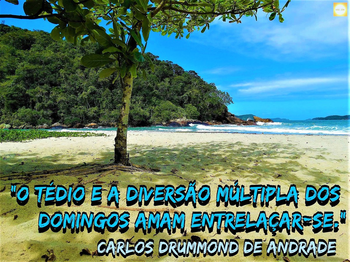 MensagemZen's tweet photo. O tédio e a diversão múltipla dos domingos amam entrelaçar-se. 🌴
#FotoMsg de #CarlosDrummond
📸#PraiaDoPuruba #UbatubaSP
+ infos em https://t.co/IWUSIL54z5
#MsgZen #SombraEÁguaFresca #LitoralPaulista #Paz #Natureza #Fotografia #Brasil #Photography #MeioAmbiente #Environment #SDV https://t.co/6YIsroY4Wy