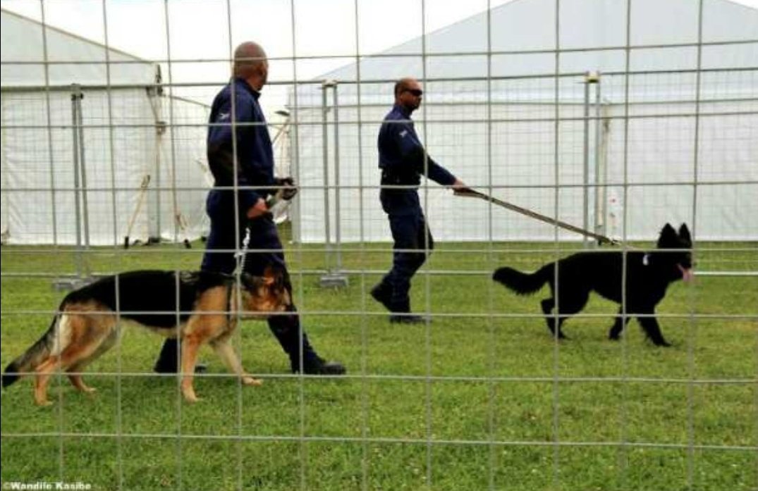 CollegeLifeUCT's tweet photo. Dogs have a job &amp; I am still unemployed. 😓

#UCTShutdown https://t.co/GI53nnmcrN