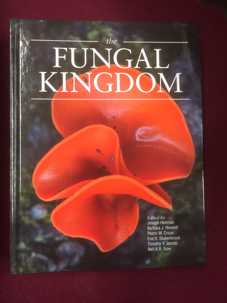 It’s out! A dream team of over 150 authors, 54 chapters, > 1000 pages and arguably  the best general text available on the fungi. Very happy to have been part of it. ASM Press: THE FUNGAL KINGDOM.