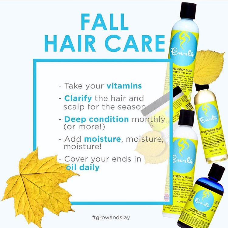 IHShow's tweet photo. @curls has some fall #hairtips for us! #read #healthyhairjourney #healthyhair  #ihshow2018 https://t.co/eQ3n42EarG