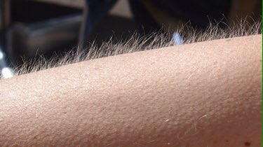"Io sono Rosy Abate" #rosyabate