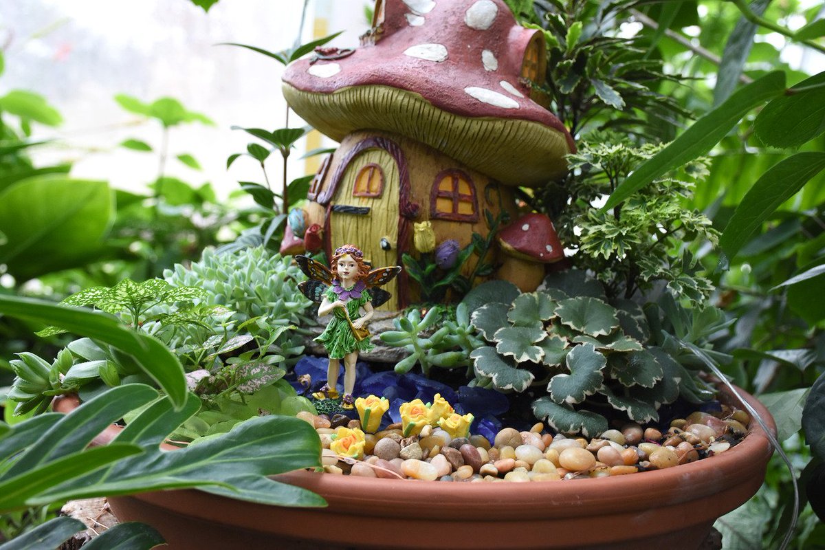 mobotgarden's tweet photo. Don't miss magical Fairy Garden Walk and Talks at the @ButterflyHse, exclusively for Garden members. https://t.co/Sct2fYv1Nt #mbgmembers https://t.co/gI0w1BPR3b