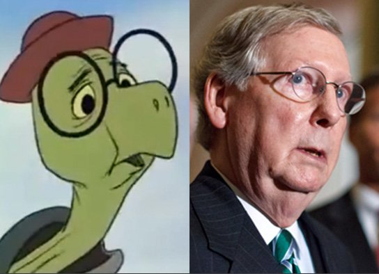 Image result for senate leader as turtle