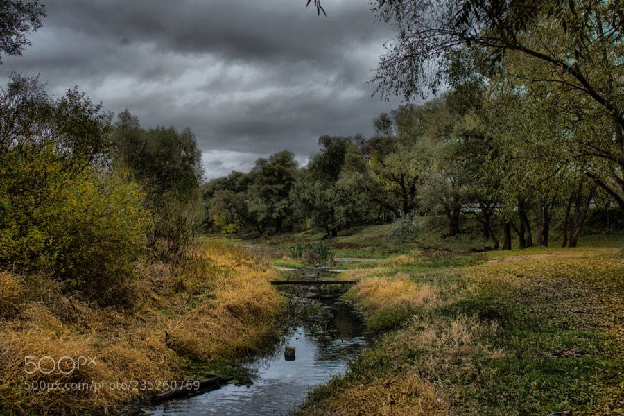 ItSooBeautiful's tweet photo. #travel #photography #landscape #Photography : Autumn Walk by petrus71 https://t.co/rA8Qm46NHx