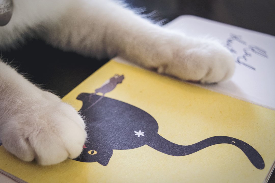Cat Butt Scratch & Sniff Board Book – Fortnight Publishing