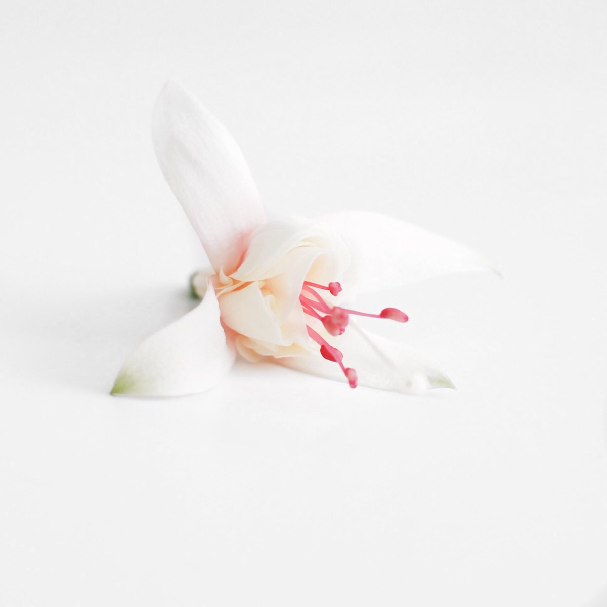 UrBox_Mx's tweet photo. Stay inspired.
#urbox #app https://t.co/7NpQiuGBh2