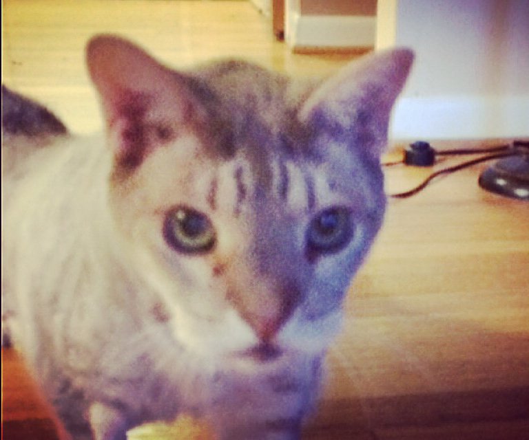 Lead by Example tweet media