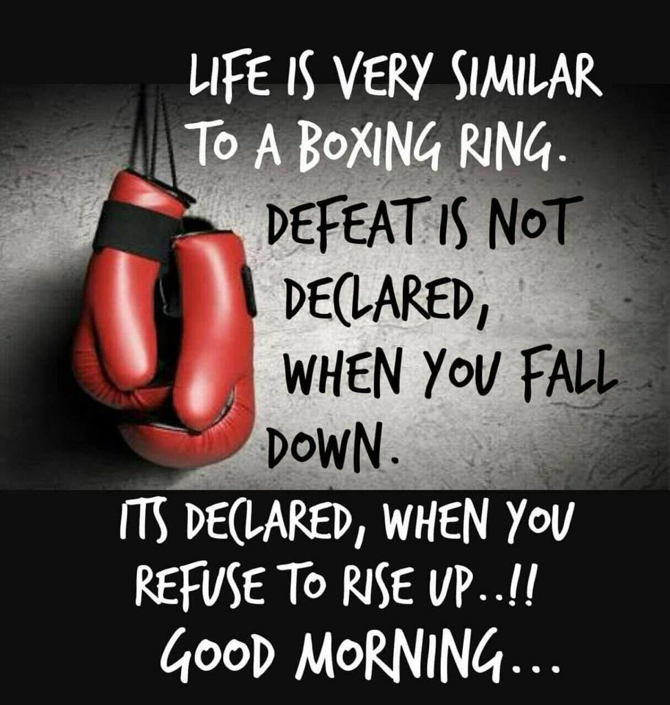 Falak1107's tweet photo. Monday is a fresh start. It's never too late to dig in and begin a new journey of success!! #MondayMotivation https://t.co/TJjsPBLQII