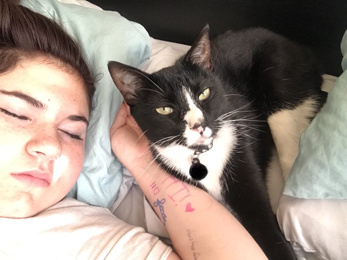 This small human loves me. #cats