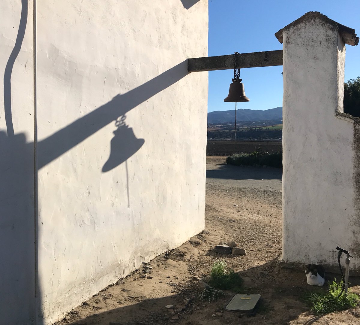 photosteiney's tweet photo. Mission #Soledad #CA #Bell #CatsOfTwitter #purrpurrpurr https://t.co/jYrkwvMowr