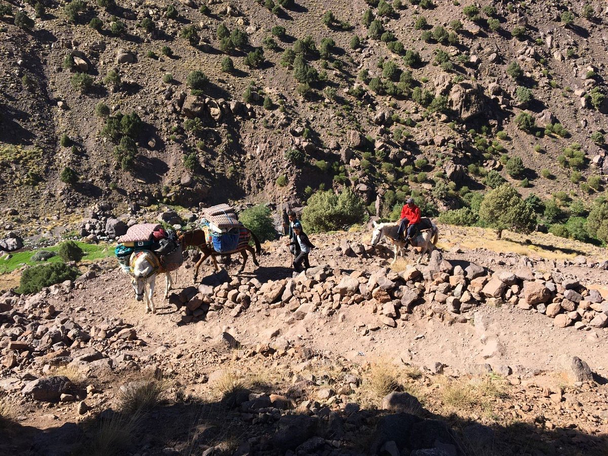 WorldwideExped's tweet photo. FOR MORE ADVENTURES...
Like us on Facebook: https://t.co/5nclnW2b24 https://t.co/2Bhi4eLjrF