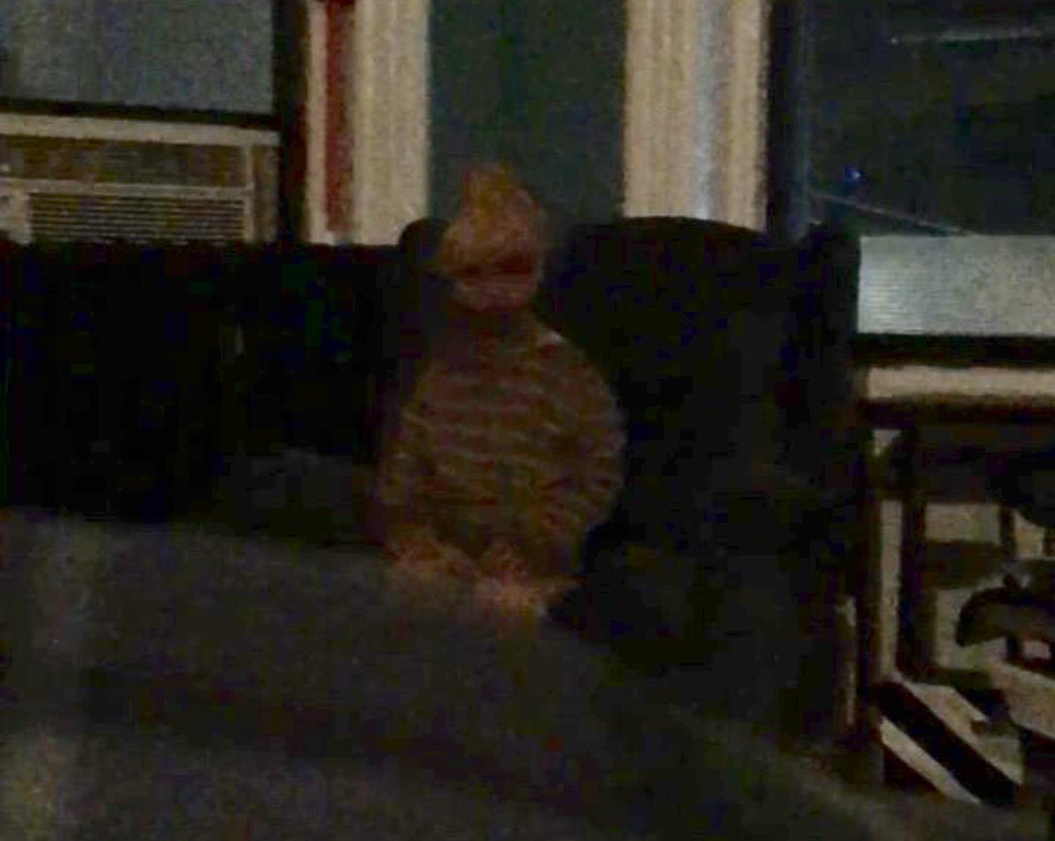 TheHauntedHub's tweet image. This Ghost child in apartment story going around, what do you think, real or a clever ghost story hoax?